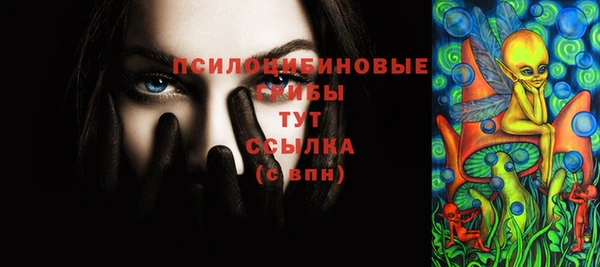 стафф Вязьма