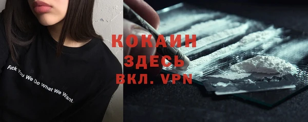 стафф Вязьма