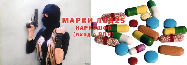 стафф Вязьма