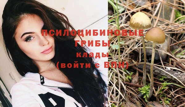 каннабис Вяземский