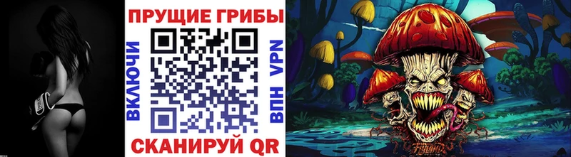 Псилоцибиновые грибы прущие грибы Павловская